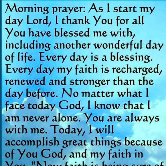 🌷 - Picture 1 of 1